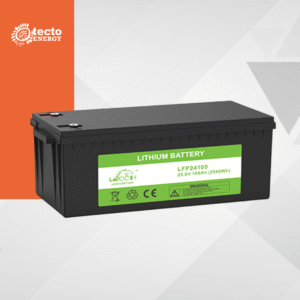 Bateria Leoch LFP24100